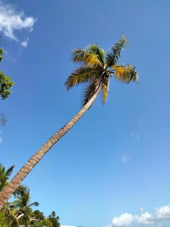 Villa Nautilia, Vue Mer, Proche Plage Les Trois-Ilets Exterior foto